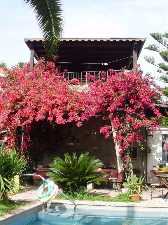 Casa Vacanze Il Pozzo Villa Ischia Island Exterior photo