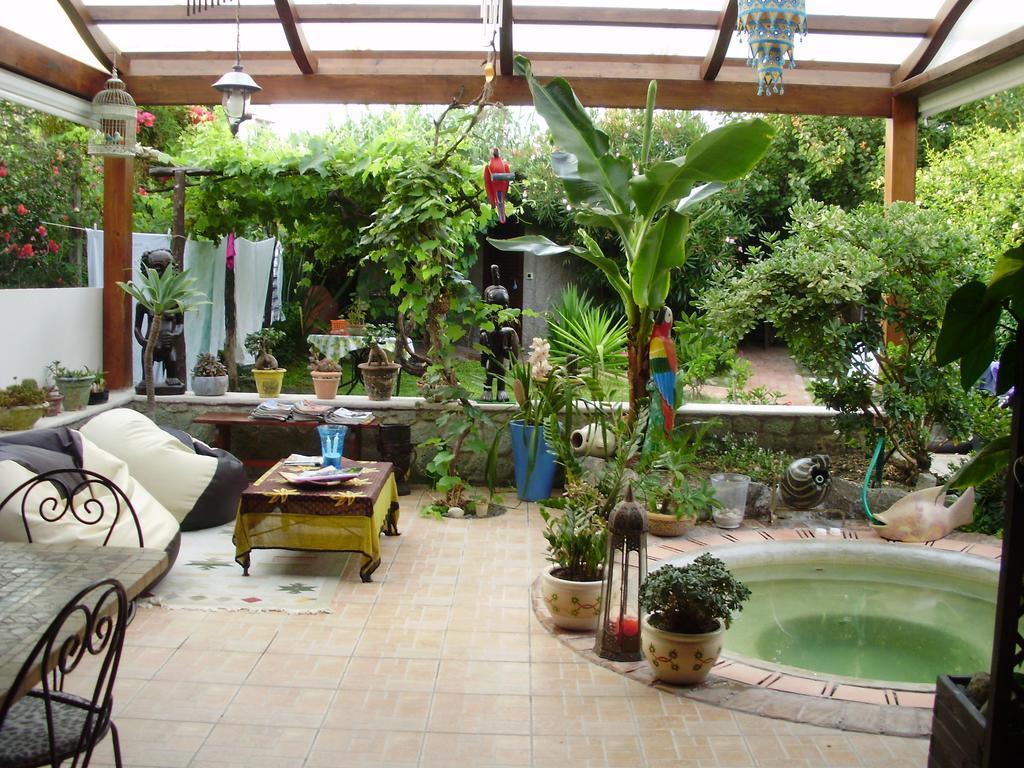 Casa Vacanze Il Pozzo Villa Ischia Island Exterior photo