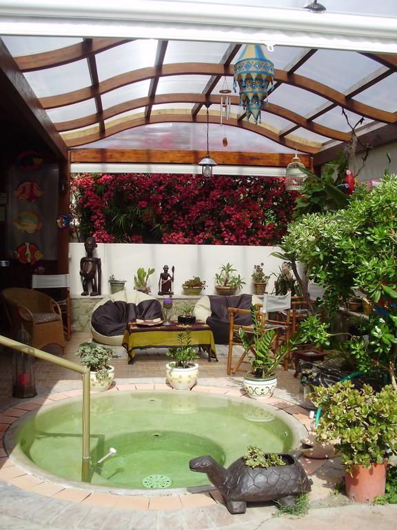 Casa Vacanze Il Pozzo Villa Ischia Island Exterior photo