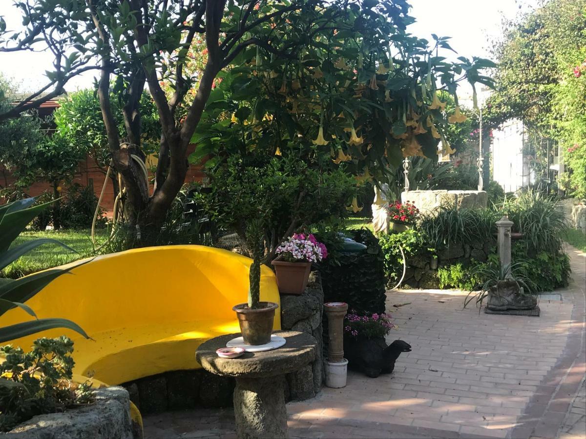 Casa Vacanze Il Pozzo Villa Ischia Island Exterior photo
